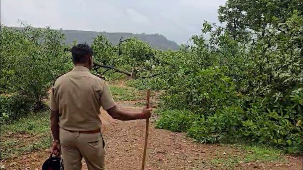 Police personnel oversee the tree-felling in Raigarh’s Tamnar