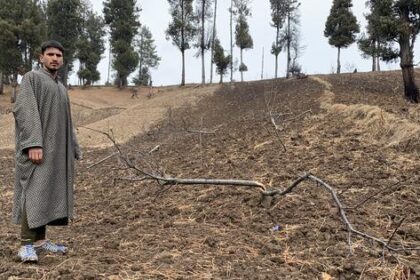 Nearly 600,000 Trees Uprooted in J&K as Riverbank Encroachment Runs Rampant