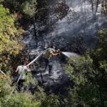 Syrians Risk Lives Battling Wildfires Amid Landmines to Defend Their Homeland