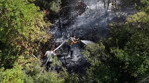 Syrians Risk Lives Battling Wildfires Amid Landmines to Defend Their Homeland