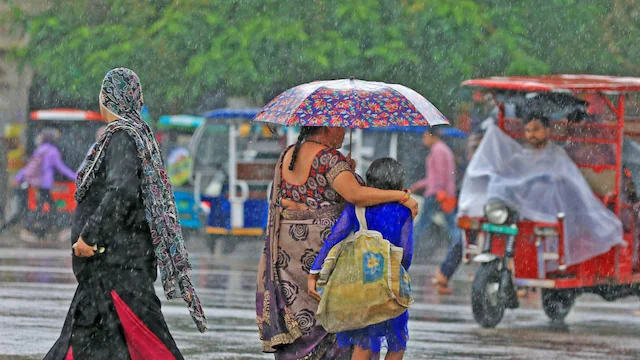 Why Viral Fevers, Dengue & Typhoid Cases Surge by Over 60% During Rainy Season