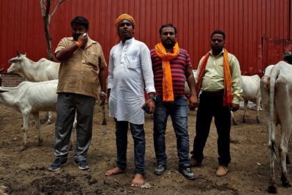 In Maharashtra, ‘Gau Rakshak’ Groups Target Muslim Qureshis Over Buffalo Meat Trade