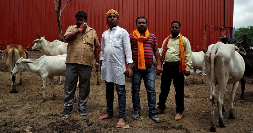 In Maharashtra, ‘Gau Rakshak’ Groups Target Muslim Qureshis Over Buffalo Meat Trade