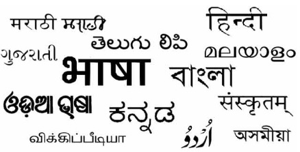 India BJP English Language Policy Sparks Cultural Tensions and National Debate