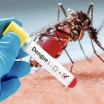 Dengue Outbreak in Bengaluru: 442 Cases in Just 30 Days – BBMP Issues High Alert Across City
