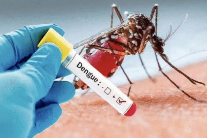 Dengue Outbreak in Bengaluru: 442 Cases in Just 30 Days – BBMP Issues High Alert Across City
