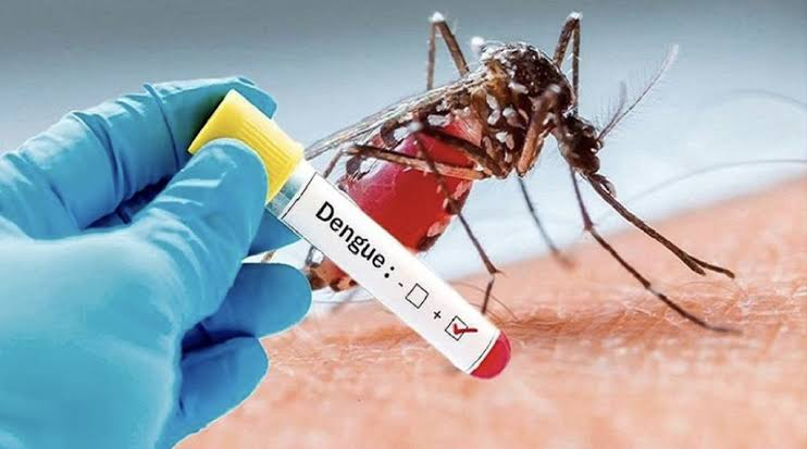 Dengue Outbreak in Bengaluru: 442 Cases in Just 30 Days – BBMP Issues High Alert Across City