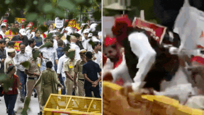 High Drama at Opposition March to EC — Akhilesh Yadav Jumps Barricade, Rahul Gandhi Detained
