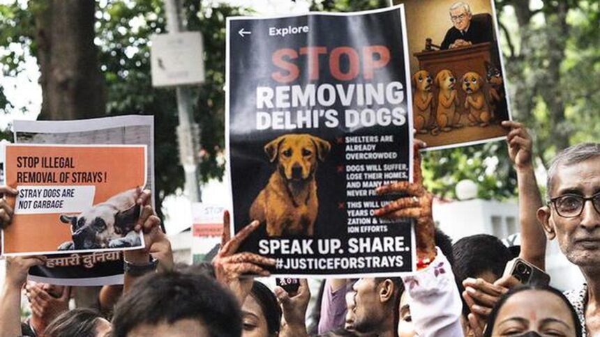 Supreme Court Reserves Order on Plea Challenging Stray Dogs Removal from Delhi-NCR Streets