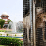 India’s Supreme Court Reverses Stray Dog Relocation, Rules for Release After Sterilisation