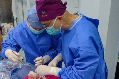 Medical Breakthrough: First-Ever Pig Lung Transplant Performed on Brain-Dead Man – Historic Step in Xenotransplantation