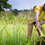 Mozambique Seeks Investment in Food and Jobs to Drive Economic Recovery