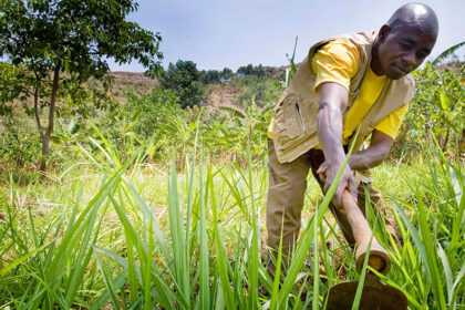 Mozambique Seeks Investment in Food and Jobs to Drive Economic Recovery