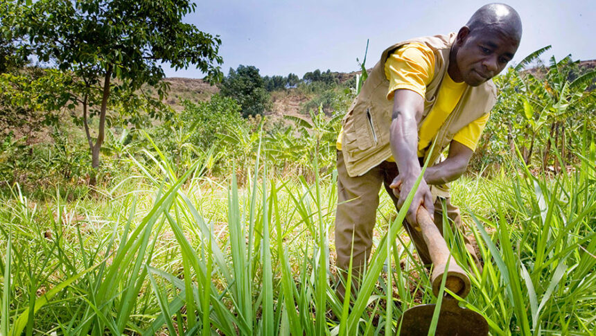 Mozambique Seeks Investment in Food and Jobs to Drive Economic Recovery