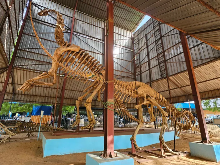 The Bobou Hama National Museum displays fossil replicas of extinct animals, including that of jobaria, a long-necked herbivorous dinosaur