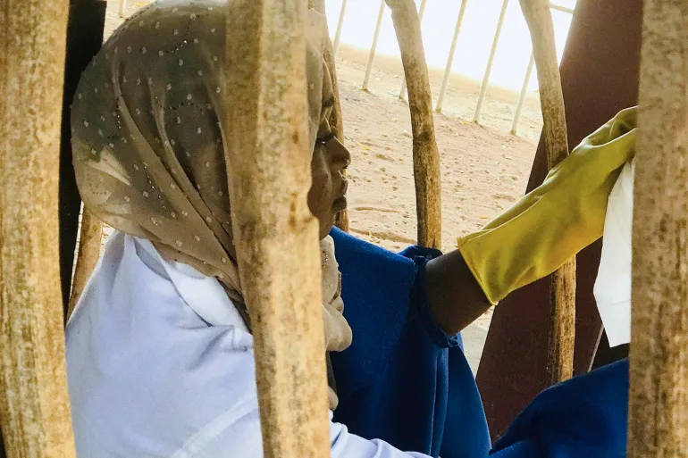 Rachidatou Hassane, an intern at Niamey museum, cleans fossil replicas on display