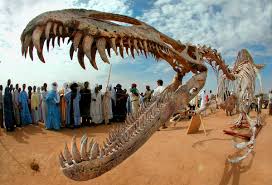 Niger’s Bone Keepers Preserving Dinosaurs to Supercrocs Amid Fossil Heritage Crisis