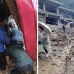 Darjeeling Disaster: 7 Dead as Heavy Rain Triggers Massive Landslides, Iron Bridge Collapses in West Bengal Hills