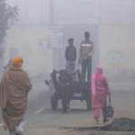 Winter Eases in North India: Punjab & Haryana See Temperature Rise, Firozpur at 8.2°C