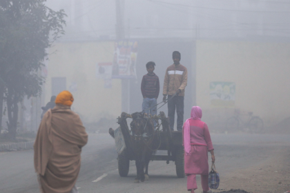 Winter Eases in North India: Punjab & Haryana See Temperature Rise, Firozpur at 8.2°C