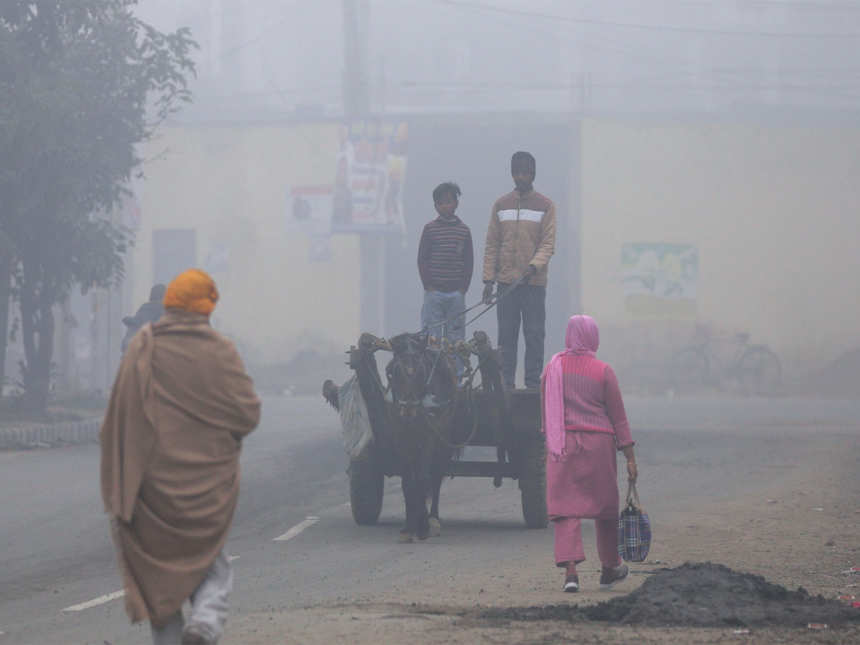 Winter Eases in North India: Punjab & Haryana See Temperature Rise, Firozpur at 8.2°C