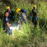 Australian Man Arrested After Thai Teen Girl Found Dead in Suitcase: 7 Shocking Details Revealed
